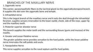 BRANCHES OF THE MAXILLARY NERVE
1. Zygomatic nerve
This carries parasympathetic fibers to the lacrimal gland via the zygomaticotemporal branch.
It supplies the skin over the zygomatic bone and temple.
2. Infraorbital nerve
This is the largest branch of the maxillary nerve and it exits the skull through the infraorbital
foramen, supplies sensory innervation to the lower eyelid, cheek, side of the nose, upper lip
and the maxillary teeth.
3. Posterior superior alveolar nerve
This branch supplies the molar teeth and the surrounding tissues (gums and mucosa) of the
maxilla.
4. Greater and Lesser Palatine nerves
The greater palatine nerve provides sensation to the hard palate, while the lesser palatine
nerve innervates the soft palate and uvula.
5. Nasopalatine Nerve
This nerve supplies sensation to the nasal septum and the hard palate.
 