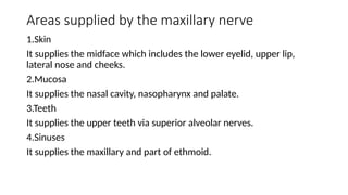 Areas supplied by the maxillary nerve
1.Skin
It supplies the midface which includes the lower eyelid, upper lip,
lateral nose and cheeks.
2.Mucosa
It supplies the nasal cavity, nasopharynx and palate.
3.Teeth
It supplies the upper teeth via superior alveolar nerves.
4.Sinuses
It supplies the maxillary and part of ethmoid.
 