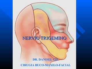 NERVIO TRIGEMINO DR. DANISEL GIL CIRUGIA BUCO-MAXILO-FACIAL 