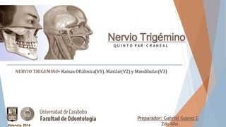Nervio Trigémino
Q U I N T O P A R C R A N E A L
NERVIO TRIGEMINO- Ramas Oftálmica(V1), Maxilar(V2) y Mandibular(V3)
 