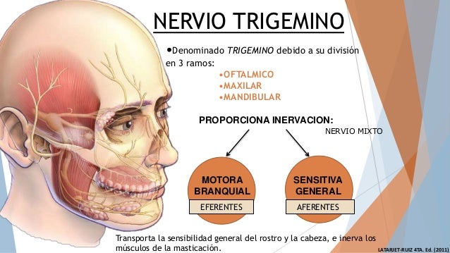 CEFALEA TRIGEMINO AUTONOMICA PDF