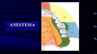 ANESTESIA
 