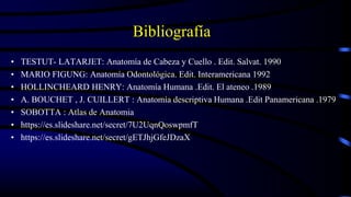 Bibliografía
• TESTUT- LATARJET: Anatomía de Cabeza y Cuello . Edit. Salvat. 1990
• MARIO FIGUNG: Anatomía Odontológica. Edit. Interamericana 1992
• HOLLINCHEARD HENRY: Anatomía Humana .Edit. El ateneo .1989
• A. BOUCHET , J. CUILLERT : Anatomía descriptiva Humana .Edit Panamericana .1979
• SOBOTTA : Atlas de Anatomia
• https://es.slideshare.net/secret/7U2UqnQoswpmfT
• https://es.slideshare.net/secret/gETJhjGfeJDzaX
124
 