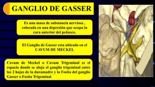 GANGLIO DE GASSER
Es una masa de substancia nerviosa ,
colocada en una depresión que ocupa la
cara anterior del peñasco.
El Ganglio de Gasser esta ubicado en el
CAVUM DE MECKEL
Cavum de Meckel o Cavum Trigeminal es el
espacio donde se aloja el ganglio trigeminal entre
las 2 hojas de la duramadre y la Fosita del ganglio
Gasser o Fosita Trigeminal
 