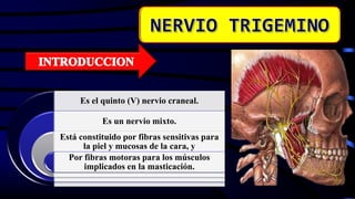 Es el quinto (V) nervio craneal.
Es un nervio mixto.
Está constituido por fibras sensitivas para
la piel y mucosas de la cara, y
Por fibras motoras para los músculos
implicados en la masticación.
 
