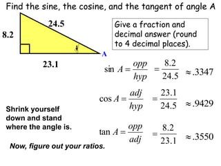 Find the sine, the cosine, and the tangent of angle A
A
24.5
23.1
8.2
hyp
opp
A 
sin
5
.
24
2
.
8
 3347
.

hyp
adj
A 
cos
5
.
24
1
.
23

9429
.

adj
opp
A 
tan
1
.
23
2
.
8
 3550
.

Give a fraction and
decimal answer (round
to 4 decimal places).
Shrink yourself
down and stand
where the angle is.
Now, figure out your ratios.
 