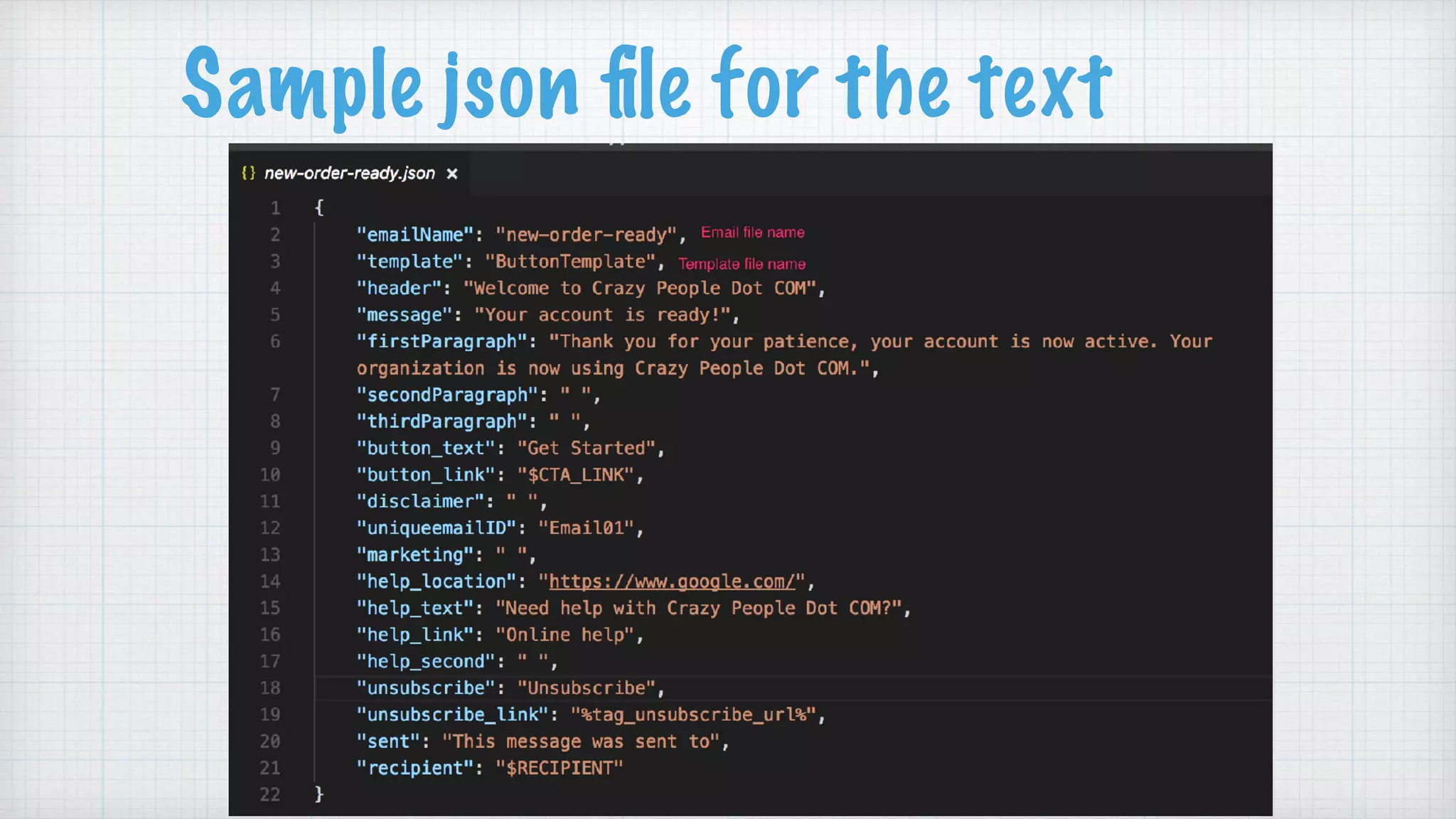 Sample json ﬁle for the text
 