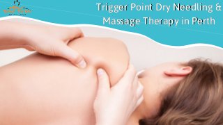 Trigger Point Dry Needling &
Massage Therapy in Perth
Trigger Point Dry Needling &
Massage Therapy in Perth
 