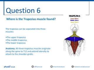 Question 6
@Physiocouk #manchesterphysio facebook.com/physiocouk
Where is the Trapezius muscle found?
The trapezius can be separated into three
muscles:
•The upper trapezius
•The middle trapezius
•The lower trapezius
Anatomy: All three trapezius muscles originate
along the spine to T12 and extend laterally to
attach to the shoulder girdle.
 
