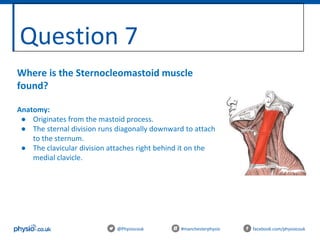 Question 7
@Physiocouk #manchesterphysio facebook.com/physiocouk
Where is the Sternocleomastoid muscle
found?
Anatomy:
● Originates from the mastoid process.
● The sternal division runs diagonally downward to attach
to the sternum.
● The clavicular division attaches right behind it on the
medial clavicle.
 