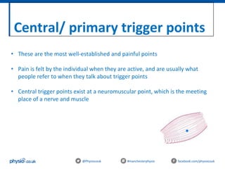 Central/ primary trigger points
@Physiocouk #manchesterphysio facebook.com/physiocouk
• These are the most well-established and painful points
• Pain is felt by the individual when they are active, and are usually what
people refer to when they talk about trigger points
• Central trigger points exist at a neuromuscular point, which is the meeting
place of a nerve and muscle
 