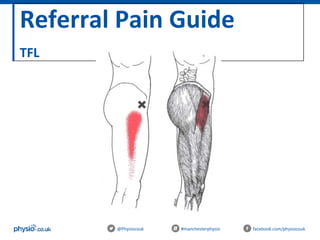 Referral Pain Guide
TFL
@Physiocouk #manchesterphysio facebook.com/physiocouk
 