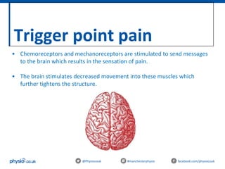 Trigger point pain
@Physiocouk #manchesterphysio facebook.com/physiocouk
• Chemoreceptors and mechanoreceptors are stimulated to send messages
to the brain which results in the sensation of pain.
• The brain stimulates decreased movement into these muscles which
further tightens the structure.
 