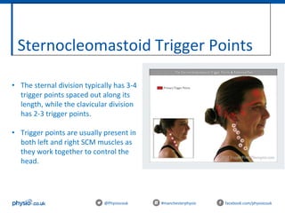 Sternocleomastoid Trigger Points
@Physiocouk #manchesterphysio facebook.com/physiocouk
• The sternal division typically has 3-4
trigger points spaced out along its
length, while the clavicular division
has 2-3 trigger points.
• Trigger points are usually present in
both left and right SCM muscles as
they work together to control the
head.
 