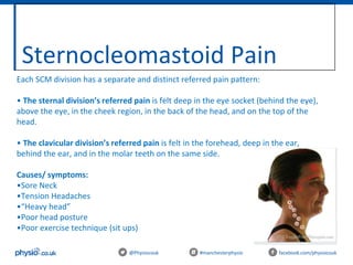 Sternocleomastoid Pain
@Physiocouk #manchesterphysio facebook.com/physiocouk
Each SCM division has a separate and distinct referred pain pattern:
• The sternal division’s referred pain is felt deep in the eye socket (behind the eye),
above the eye, in the cheek region, in the back of the head, and on the top of the
head.
• The clavicular division’s referred pain is felt in the forehead, deep in the ear,
behind the ear, and in the molar teeth on the same side.
Causes/ symptoms:
•Sore Neck
•Tension Headaches
•“Heavy head”
•Poor head posture
•Poor exercise technique (sit ups)
 