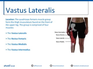 Vastus Lateralis
@Physiocouk #manchesterphysio facebook.com/physiocouk
Location: The quadriceps femoris muscle group
form the thigh musculature found on the front of
the upper leg. The group is comprised of four
muscles:
• The Vastus Lateralis
• The Rectus Femoris
• The Vastus Medialis
• The Vastus Intermedius
 