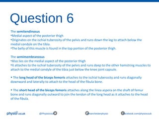 Question 6
@Physiocouk #manchesterphysio facebook.com/physiocouk
The semitendinosus
•Medial aspect of the posterior thigh
•Originates on the ischial tuberosity of the pelvis and runs down the leg to attach below the
medial condyle on the tibia.
•The belly of this muscle is found in the top portion of the posterior thigh.
The semimembranosus
•Also lies on the medial aspect of the posterior thigh
•It attaches to the ischial tuberosity of the pelvis and runs deep to the other hamstring muscles to
attach to the medial condyle of the tibia just below the knee joint capsule.
• The long head of the biceps femoris attaches to the ischial tuberosity and runs diagonally
downward and laterally to attach to the head of the fibula bone.
• The short head of the biceps femoris attaches along the linea aspera on the shaft of femur
bone and runs diagonally outward to join the tendon of the long head as it attaches to the head
of the fibula.
 