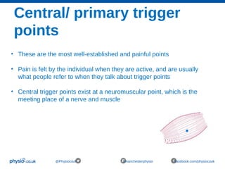 Central/ primary trigger
points
@Physiocouk #manchesterphysio facebook.com/physiocouk
• These are the most well-established and painful points
• Pain is felt by the individual when they are active, and are usually
what people refer to when they talk about trigger points
• Central trigger points exist at a neuromuscular point, which is the
meeting place of a nerve and muscle
 
