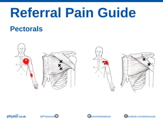 Referral Pain Guide
Pectorals
@Physiocouk #manchesterphysio facebook.com/physiocouk
 