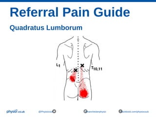 Referral Pain Guide
Quadratus Lumborum
@Physiocouk #manchesterphysio facebook.com/physiocouk
 