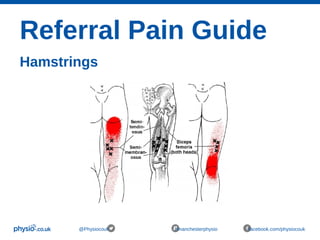 Referral Pain Guide
Hamstrings
@Physiocouk #manchesterphysio facebook.com/physiocouk
 