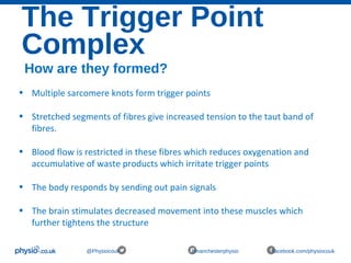 The Trigger Point
Complex
@Physiocouk #manchesterphysio facebook.com/physiocouk
How are they formed?
• Multiple sarcomere knots form trigger points
• Stretched segments of fibres give increased tension to the taut band of
fibres.
• Blood flow is restricted in these fibres which reduces oxygenation and
accumulative of waste products which irritate trigger points
• The body responds by sending out pain signals
• The brain stimulates decreased movement into these muscles which
further tightens the structure
 