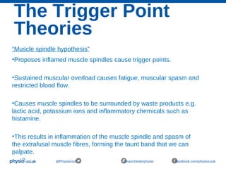 The Trigger Point
Theories
@Physiocouk #manchesterphysio facebook.com/physiocouk
“Muscle spindle hypothesis”
•Proposes inflamed muscle spindles cause trigger points.
•Sustained muscular overload causes fatigue, muscular spasm and
restricted blood flow.
•Causes muscle spindles to be surrounded by waste products e.g.
lactic acid, potassium ions and inflammatory chemicals such as
histamine.
•This results in inflammation of the muscle spindle and spasm of
the extrafusal muscle fibres, forming the taunt band that we can
palpate.
 