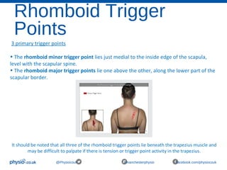 Rhomboid Trigger
Points
@Physiocouk #manchesterphysio facebook.com/physiocouk
 3 primary trigger points
• The rhomboid minor trigger point lies just medial to the inside edge of the scapula, 
level with the scapular spine.
• The rhomboid major trigger points lie one above the other, along the lower part of the 
scapular border.
It should be noted that all three of the rhomboid trigger points lie beneath the trapezius muscle and 
may be difficult to palpate if there is tension or trigger point activity in the trapezius.
 