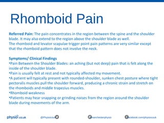 Rhomboid Pain
@Physiocouk #manchesterphysio facebook.com/physiocouk
Referred Pain: The pain concentrates in the region between the spine and the shoulder 
blade. It may also extend to the region above the shoulder blade as well.
The rhomboid and levator scapulae trigger point pain patterns are very similar except 
that the rhomboid pattern does not involve the neck.
Symptoms/ Clinical Findings
•Pain Between the Shoulder Blades: an aching (but not deep) pain that is felt along the 
inside of the shoulder blade.
•Pain is usually felt at rest and not typically affected my movement.
•A patient will typically present with rounded-shoulder, sunken chest posture where tight 
pectoralis muscles pull the shoulder forward, producing a chronic strain and stretch on 
the rhomboids and middle trapezius muscles.
•Rhomboid weakness 
•Patients may hear snapping or grinding noises from the region around the shoulder 
blade during movements of the arm.
 
