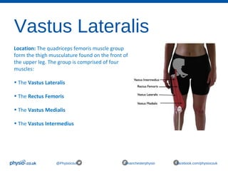 Vastus Lateralis
@Physiocouk #manchesterphysio facebook.com/physiocouk
Location: The quadriceps femoris muscle group 
form the thigh musculature found on the front of 
the upper leg. The group is comprised of four 
muscles:
• The Vastus Lateralis 
• The Rectus Femoris 
• The Vastus Medialis 
• The Vastus Intermedius 
 