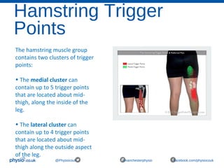 Hamstring Trigger
Points
@Physiocouk #manchesterphysio facebook.com/physiocouk
The hamstring muscle group 
contains two clusters of trigger 
points:
• The medial cluster can 
contain up to 5 trigger points 
that are located about mid-
thigh, along the inside of the 
leg.
• The lateral cluster can 
contain up to 4 trigger points 
that are located about mid-
thigh along the outside aspect 
of the leg.
 