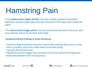 Hamstring Pain
@Physiocouk #manchesterphysio facebook.com/physiocouk
• The medial cluster trigger point(s) refer pain strongly upward to the gluteal 
fold/upper posterior thigh region and down the back of the thigh to the medial calf 
region.
• The lateral cluster trigger points refer pain primarily to the back of the knee, with 
some spillover referral to the back of the thigh.
Symptoms/Clinical Findings of active hamstring
• Posterior thigh or posterior knee pain, worse when walking, often causes a limp.
• Pain in buttocks, back of the thigh and/or knee while sitting
• Leg pain that disturbs sleep
• Quadriceps femoris trigger point symptoms due to the prominent antagonistic 
relationship between these muscle groups.
 