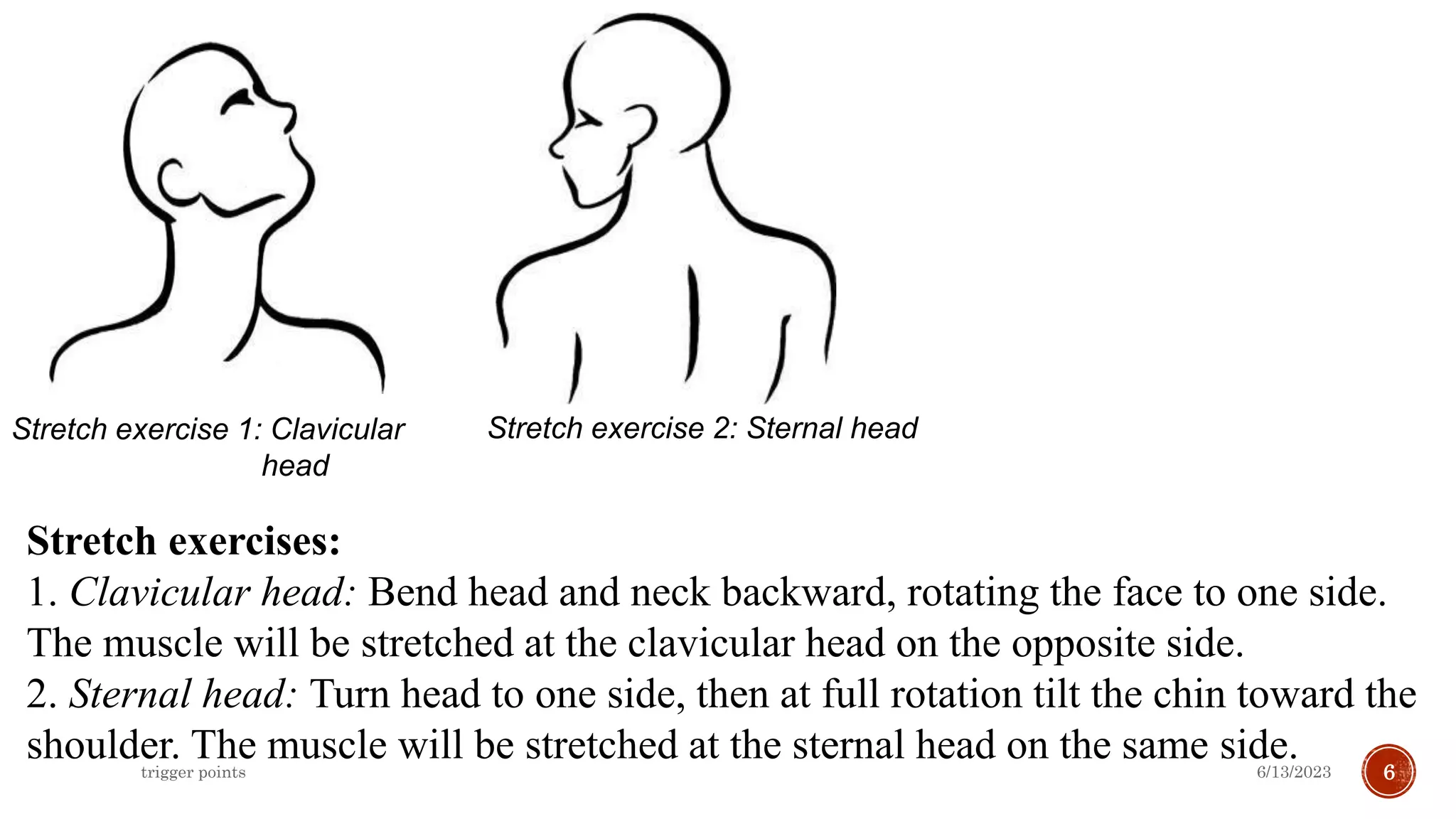 Trigger Points Exercise Trigger point therapy .pptx