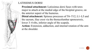 Trigger Point Sacrum Trigger point therapy .pptx