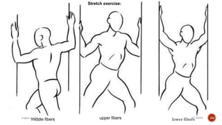 Trigger Points Exercise Trigger point therapy .pptx