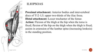 Trigger point therapy .pptx