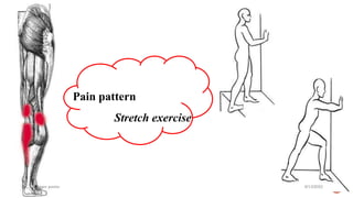 Trigger Points Exercise Trigger point therapy .pptx