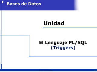 Bases de Datos



                  Unidad


             El Lenguaje PL/SQL
                  (Triggers)




            2011  Erwin Fischer   2
 