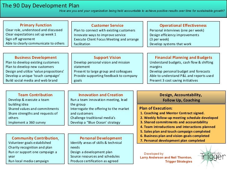 Trigger Strategies - New Hire 90 Day Development Plan