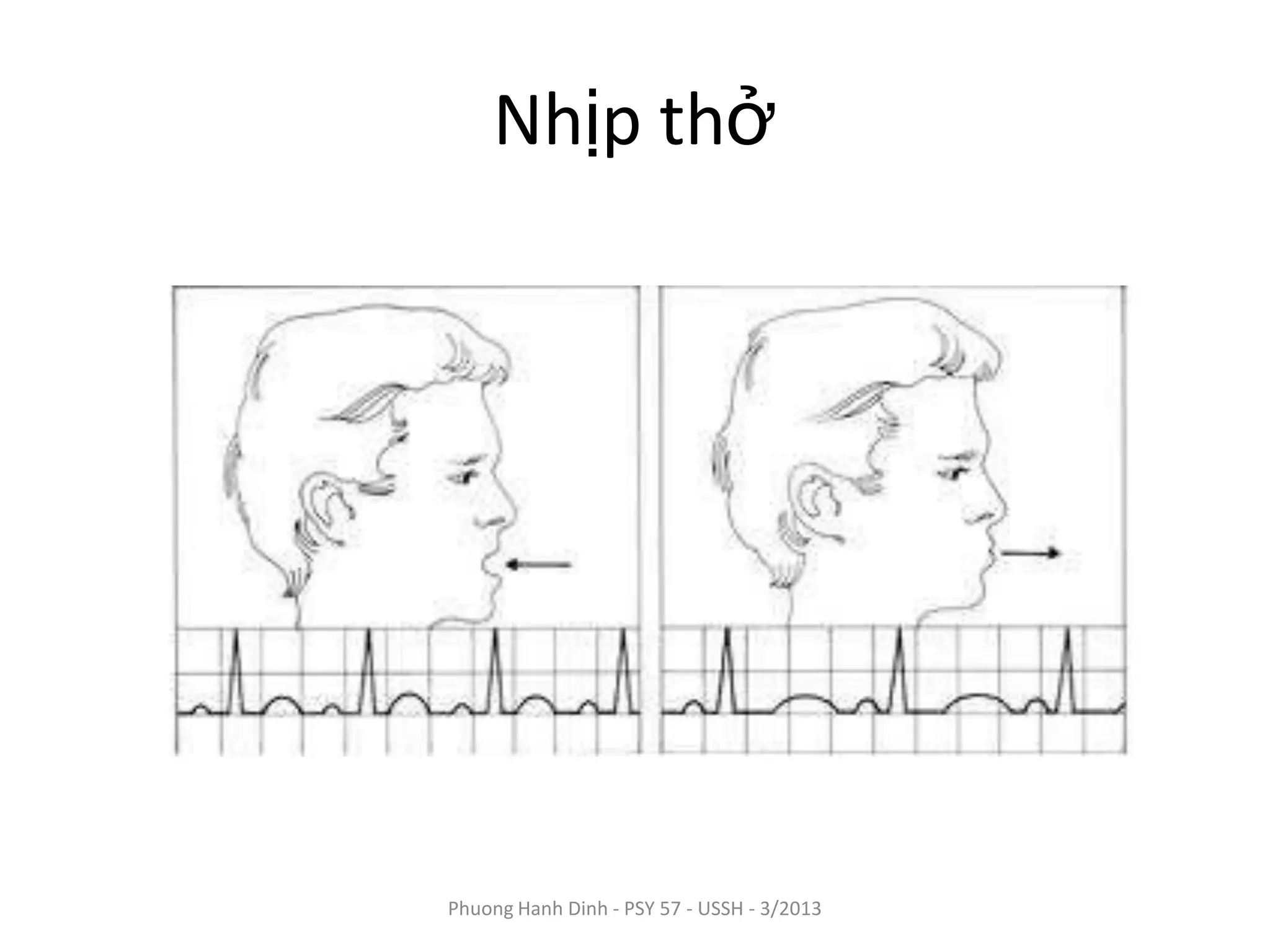 Tri giác | PPTX