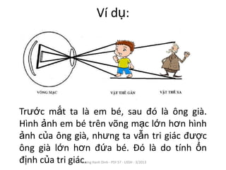 Ví dụ:




Trước mắt ta là em bé, sau đó là ông già.
Hình ảnh em bé trên võng mạc lớn hơn hình
ảnh của ông già, nhưng ta vẫn tri giác được
ông già lớn hơn đứa bé. Đó là do tính ổn
định của tri giác.
             Phuong Hanh Dinh - PSY 57 - USSH - 3/2013
 