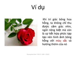 Ví dụ
                             Khi tri giác bông hoa
                            hồng, ta không chỉ thu
                            được cảm giác nhìn,
                            ngửi riêng biệt mà còn
                            là sự kết hợp phức tạp
                            tạo nên hình ảnh bông
                            hồng với màu sắc và
                            hương thơm của nó


Phuong Hanh Dinh - PSY 57 - USSH - 3/2013
 