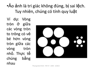 •Ảo ảnh là tri giác không đúng, bị sai lệch.
    Tuy nhiên, chúng có tính quy luật
Ví dụ: Vòng
tròn ở giữa
các vòng tròn
to trông có vẻ
bé hơn vòng
tròn giữa các
vòng      tròn
nhỏ. Thực tế
chúng bằng
nhau             Phuong Hanh Dinh - PSY 57 - USSH - 3/2013
 
