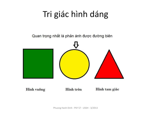Tri giác | PPTX
