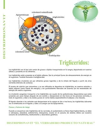 DISTRIPRONAVIT “EL VERDADERO PRODUCTO NATURAL”
DISTRIPRONAVIT
Trigliceridos:
Los triglicéridos son el tipo más común de grasas o lípidos transportados en la sangre, depositados en nuestras
células o presentes en los alimentos.
Los triglicéridos están presentes en el tejido adiposo. Son la principal forma de almacenamiento de energía en
el organismo. También llamados triacilgliceroles.
Los triglicéridos circulantes son por alimentos grasos ingeridos o de la síntesis del hígado a partir de otros
nutrientes (hidratos de carbono).
El exceso de calorías que consumimos y no son utilizadas se depositan en triglicéridos, en nuestros músculos y
tejido adiposo (como fuente de energía) y son gradualmente liberados de acuerdo con las necesidades de
energía de nuestro organismo.
La circulación sanguínea transporta a los triglicéridos con ayuda de los quilomicrones; lipoproteinas que están
presentes por poco tiempo después de una comida y desaparecen en dos horas en las personas normales, a
todo el organismo y deja a los ácidos grasos en varios tejidos especialmente el adiposo y los músculos.
El hígado absorbe a los restantes que desaparecen en la sangre en dos o tres horas, los triglicéridos sobrantes
son re-sintetizados en el hígado y salen a la sangre con las lipoproteínas.
Causas y factores de riesgo
Cuando se encuentran más triglicéridos de los normales, el padecimiento se llama hipertrigliceridemia, se debe
a sobrepeso, obesidad, sedentarismo, tabaquismo, exceso en el consumo de alcohol, dietas con excesivo
consumo de carbohidratos, medicamentos y desordenes genéticos.
 