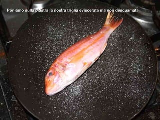 Poniamo sulla piastra la nostra triglia eviscerata ma non desquamata 