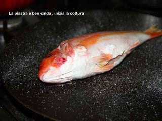 La piastra è ben calda , inizia la cottura 