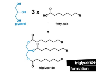 Triglycerides