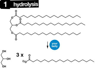 Triglycerides