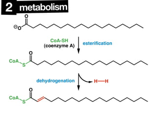 Triglycerides
